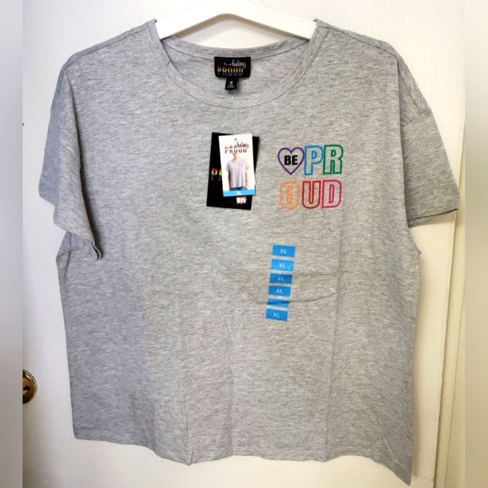 LGBTQ Feeling Proud, Womens Pride T-Shirt, Pride Month, Gray